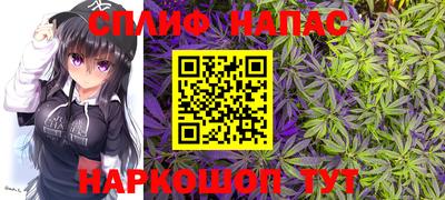амф Гатчина