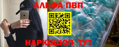амф Гатчина