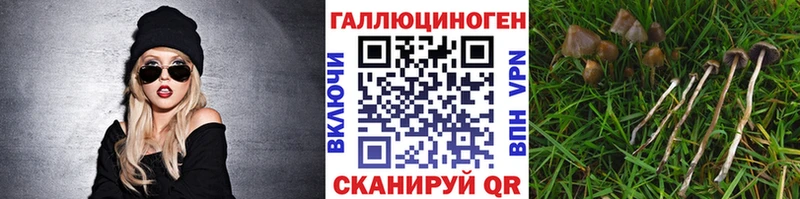Псилоцибиновые грибы Psilocybe  ссылка на мегу ССЫЛКА  Абинск 
