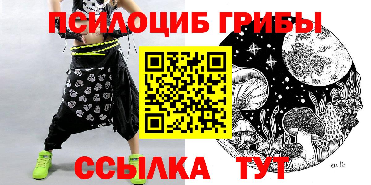 Псилоцибиновые грибы Psilocybine cubensis Абинск